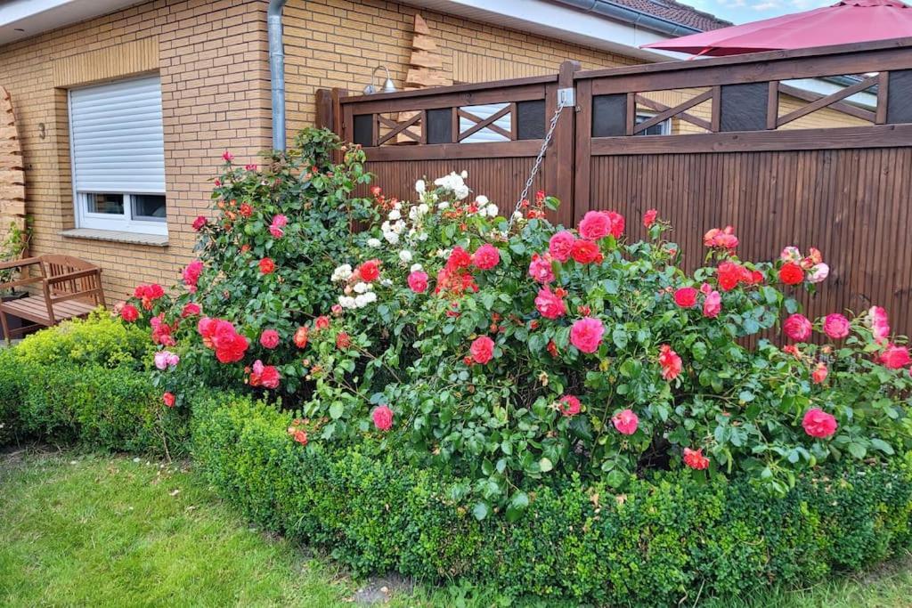 הוילה Hinte Fh Ostfriesland To Huus, Zw. Emden Und Greetsiel מראה חיצוני תמונה
